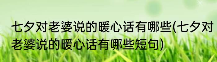 七夕对老婆说的暖心话有哪些(七夕对老婆说的暖心话有哪些短句)