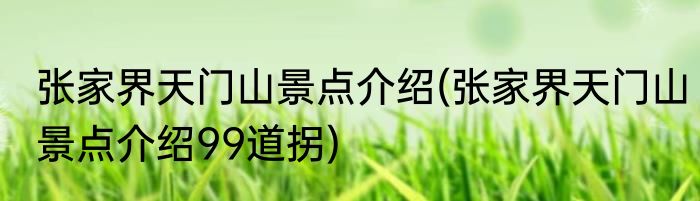 张家界天门山景点介绍(张家界天门山景点介绍99道拐)