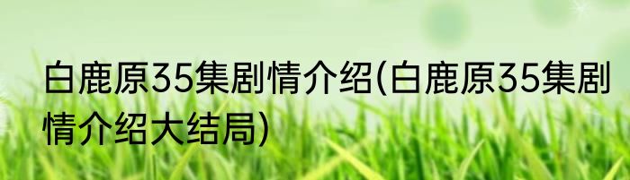 白鹿原35集剧情介绍(白鹿原35集剧情介绍大结局)