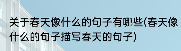 关于春天像什么的句子有哪些(春天像什么的句子描写春天的句子)