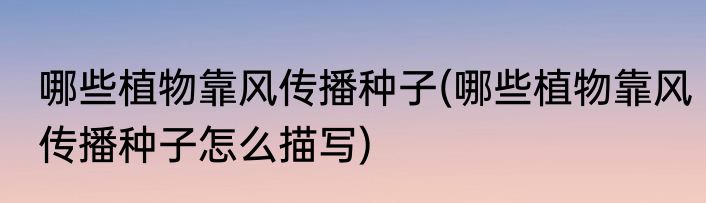 哪些植物靠风传播种子(哪些植物靠风传播种子怎么描写)
