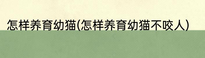 怎样养育幼猫(怎样养育幼猫不咬人)