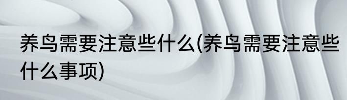 养鸟需要注意些什么(养鸟需要注意些什么事项)