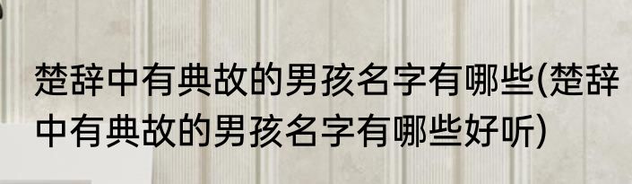 楚辞中有典故的男孩名字有哪些(楚辞中有典故的男孩名字有哪些好听)