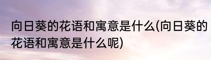 向日葵的花语和寓意是什么(向日葵的花语和寓意是什么呢)
