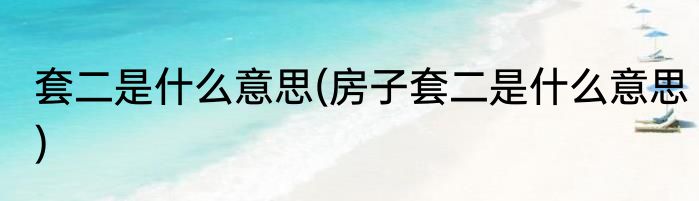 套二是什么意思(房子套二是什么意思)