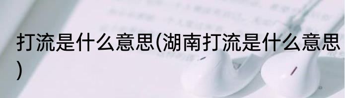 打流是什么意思(湖南打流是什么意思)
