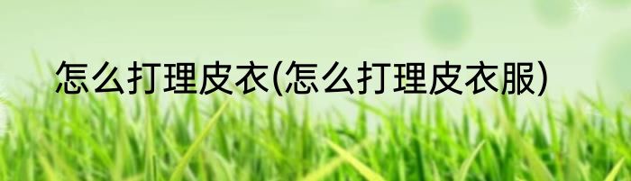 怎么打理皮衣(怎么打理皮衣服)