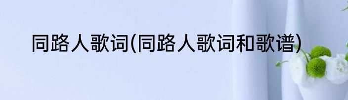 同路人歌词(同路人歌词和歌谱)