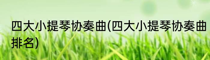 四大小提琴协奏曲(四大小提琴协奏曲排名)