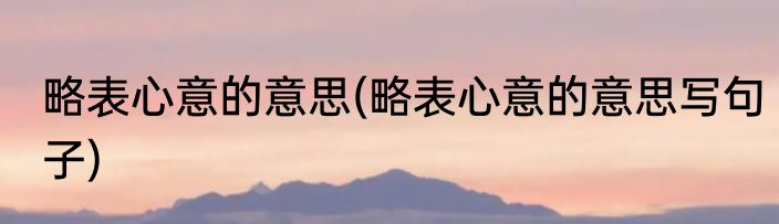 略表心意的意思(略表心意的意思写句子)