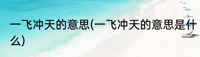 一飞冲天的意思(一飞冲天的意思是什么)