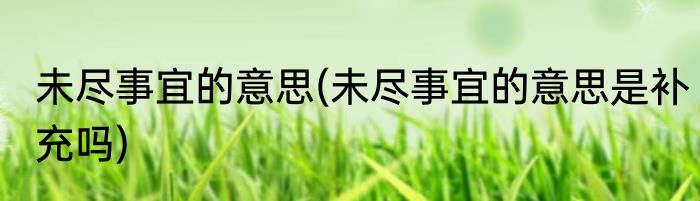 未尽事宜的意思(未尽事宜的意思是补充吗)