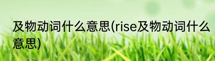 及物动词什么意思(rise及物动词什么意思)