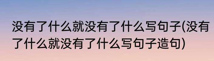 没有了什么就没有了什么写句子(没有了什么就没有了什么写句子造句)