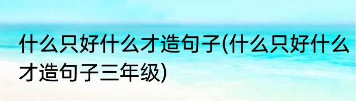 什么只好什么才造句子(什么只好什么才造句子三年级)