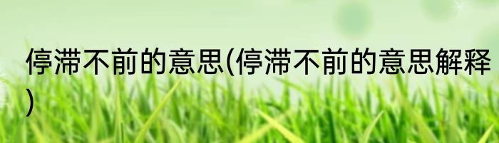 停滞不前的意思(停滞不前的意思解释)