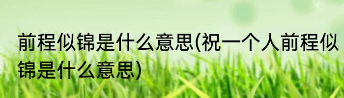 前程似锦是什么意思(祝一个人前程似锦是什么意思)