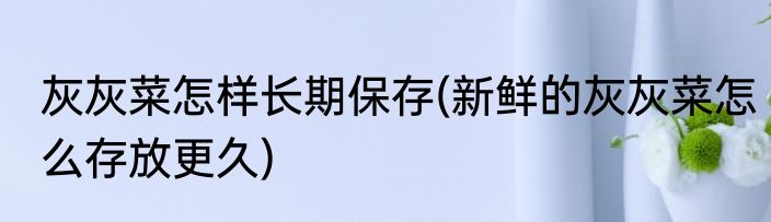 灰灰菜怎样长期保存(新鲜的灰灰菜怎么存放更久)