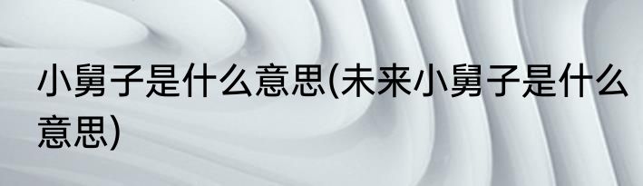 小舅子是什么意思(未来小舅子是什么意思)