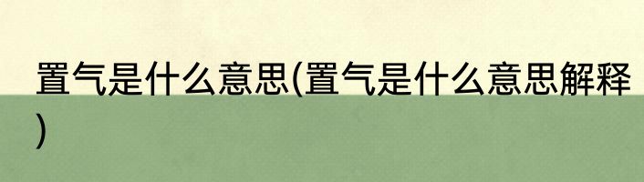 置气是什么意思(置气是什么意思解释)