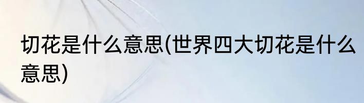 切花是什么意思(世界四大切花是什么意思)