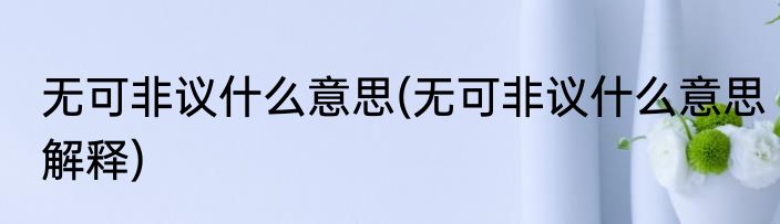 无可非议什么意思(无可非议什么意思解释)