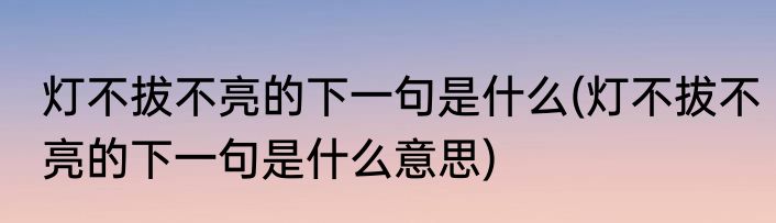 灯不拔不亮的下一句是什么(灯不拔不亮的下一句是什么意思)