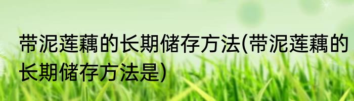 带泥莲藕的长期储存方法(带泥莲藕的长期储存方法是)