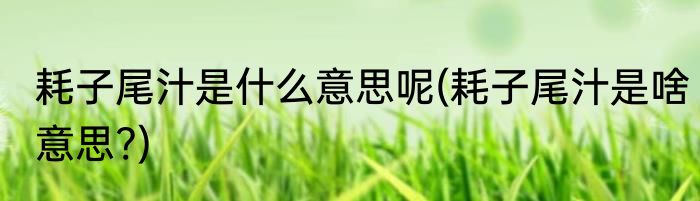 耗子尾汁是什么意思呢(耗子尾汁是啥意思?)