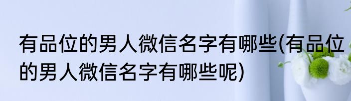 有品位的男人微信名字有哪些(有品位的男人微信名字有哪些呢)