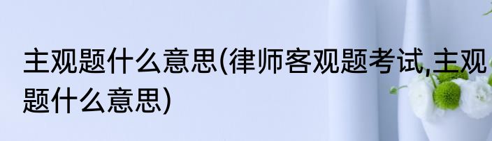 主观题什么意思(律师客观题考试,主观题什么意思)