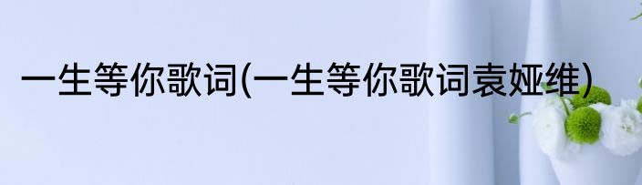 一生等你歌词(一生等你歌词袁娅维)