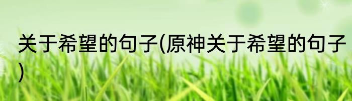 关于希望的句子(原神关于希望的句子)