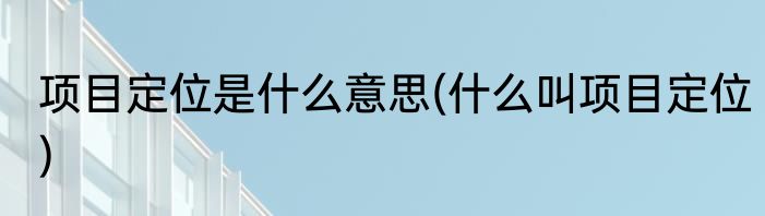 项目定位是什么意思(什么叫项目定位)