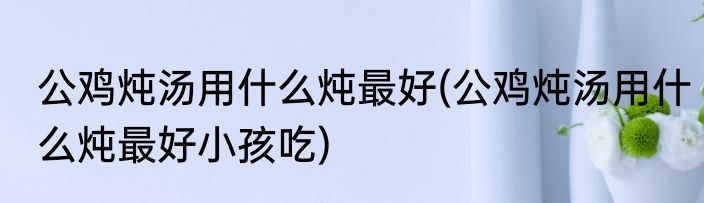公鸡炖汤用什么炖最好(公鸡炖汤用什么炖最好小孩吃)