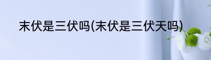 末伏是三伏吗(末伏是三伏天吗)