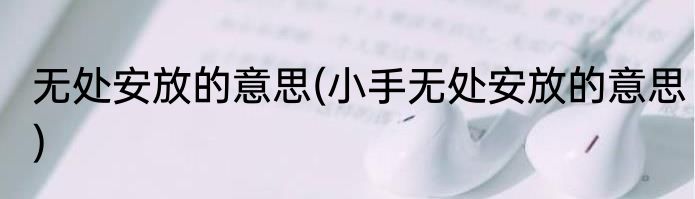 无处安放的意思(小手无处安放的意思)