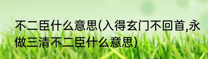 不二臣什么意思(入得玄门不回首,永做三清不二臣什么意思)