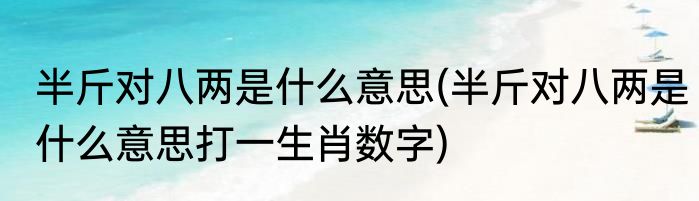 半斤对八两是什么意思(半斤对八两是什么意思打一生肖数字)