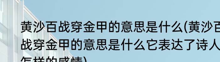 黄沙百战穿金甲的意思是什么(黄沙百战穿金甲的意思是什么它表达了诗人怎样的感情)