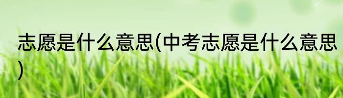 志愿是什么意思(中考志愿是什么意思)