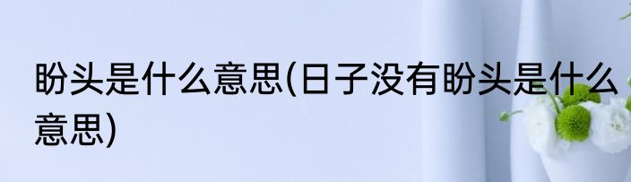 盼头是什么意思(日子没有盼头是什么意思)