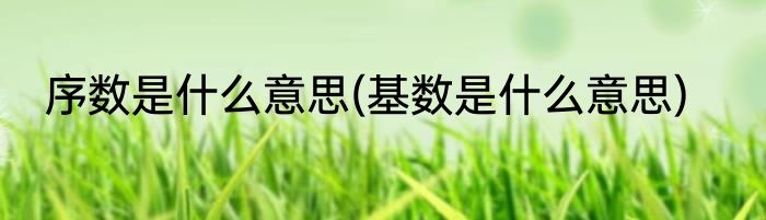 序数是什么意思(基数是什么意思)