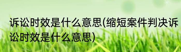 诉讼时效是什么意思(缩短案件判决诉讼时效是什么意思)