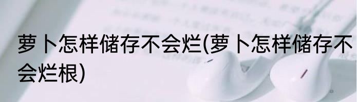 萝卜怎样储存不会烂(萝卜怎样储存不会烂根)