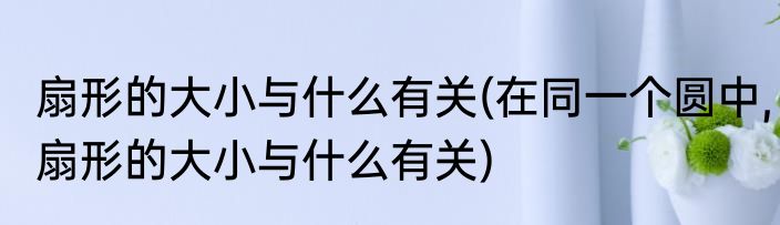 扇形的大小与什么有关(在同一个圆中,扇形的大小与什么有关)