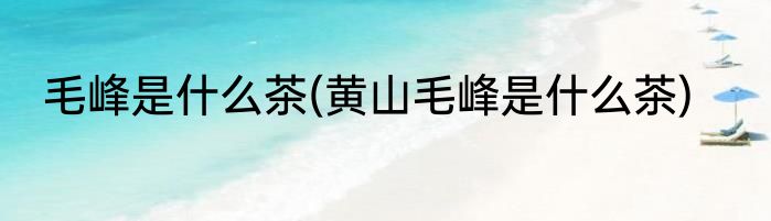 毛峰是什么茶(黄山毛峰是什么茶)