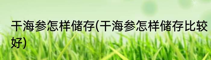 干海参怎样储存(干海参怎样储存比较好)
