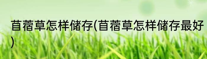 苜蓿草怎样储存(苜蓿草怎样储存最好)